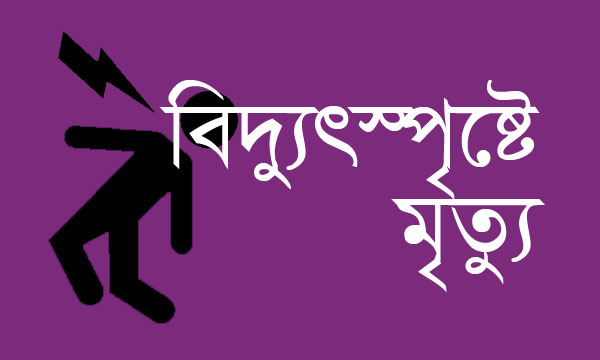জীবননগরে বিদ্যুৎস্পৃষ্টে যুবকের মৃত্যু