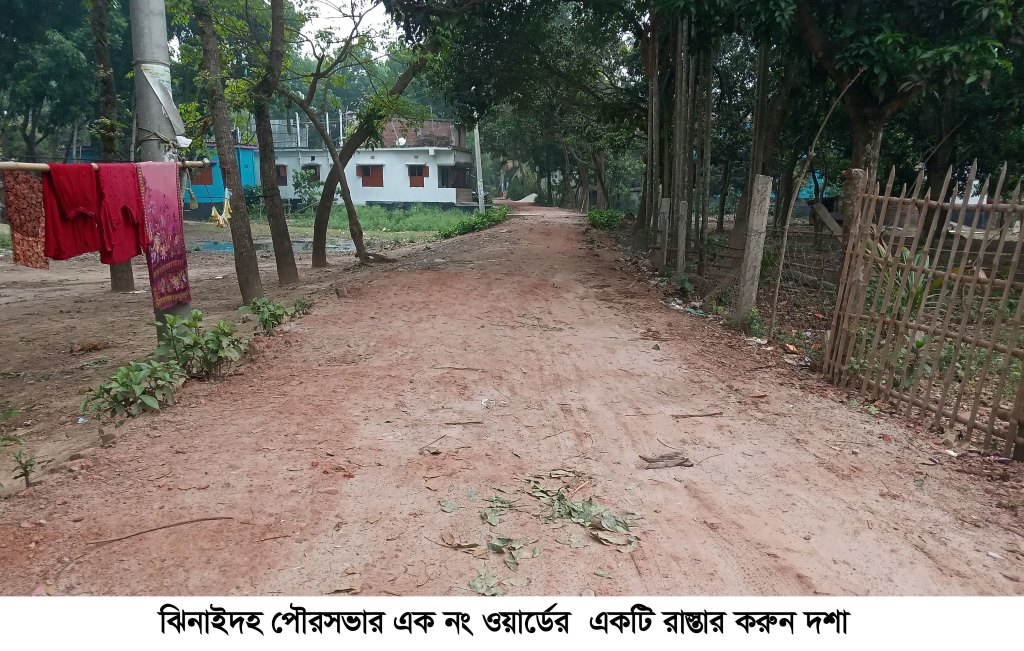 রাস্তার বেহাল দশা, দুই যুগ ধরে হয় না সংস্কার