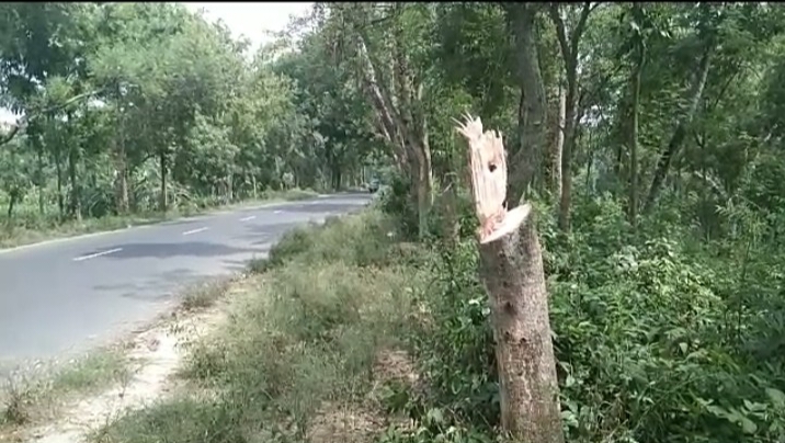 দামুড়হুদার কাঁঠালতলায় আঞ্চলিক মহাসড়কের ওপর গাছ ফেলে ডাকাতি