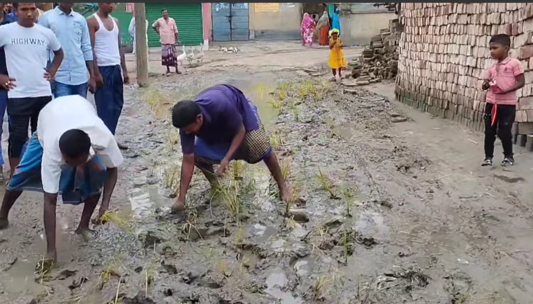 ঈদের দিন রাস্তায় ধান লাগিয়ে প্রতিবাদ