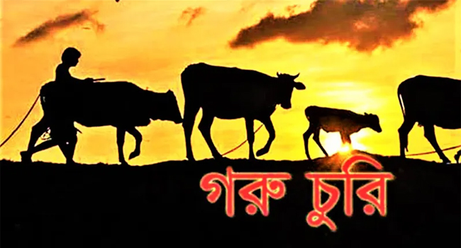 দামুড়হুদার লোকনাথপুরে গোয়ালঘর থেকে গরু চুরি