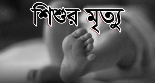 নানি বাড়ি বেড়াতে এসে সড়ক দুর্ঘটনায় শিশুর মৃত্যু