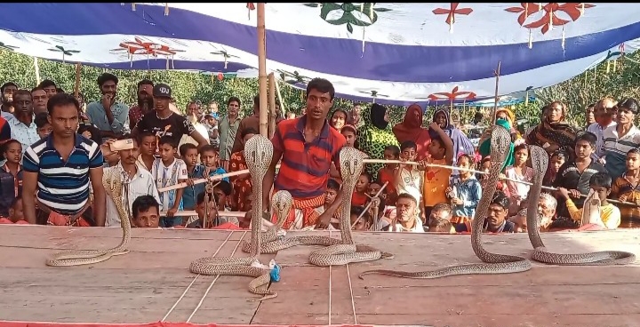 কার্পাসডাঙ্গায় ঐতিহ্যবাহী ঝাপান খেলা অনুষ্ঠিত