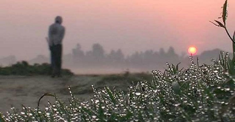 চুয়াডাঙ্গায় সন্ধ্যা নামতেই বাড়ছে শীতের আবহ