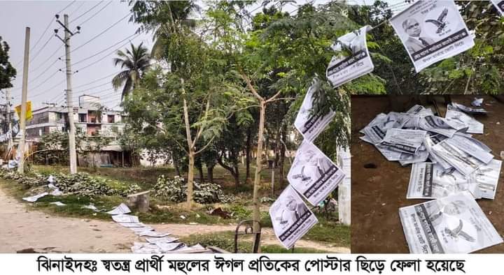 ঝিনাইদহে স্বতন্ত্র প্রার্থীর পোস্টার ছিড়ে ফেলার অভিযোগ