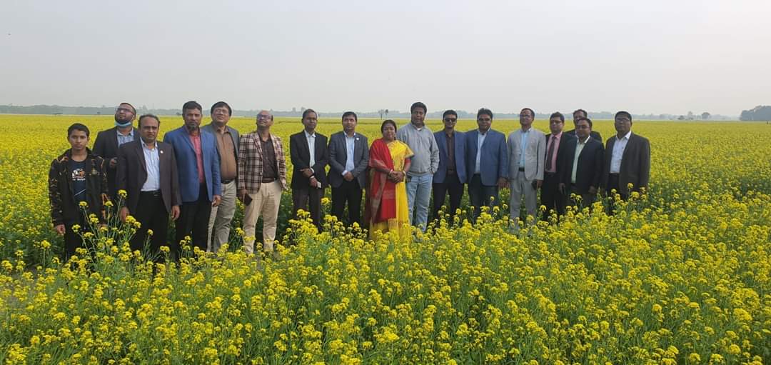 ঝিনাইদহে উপজেলা প্রশাসন ও কৃষি বিভাগের সরিষা খেত পরিদর্শন