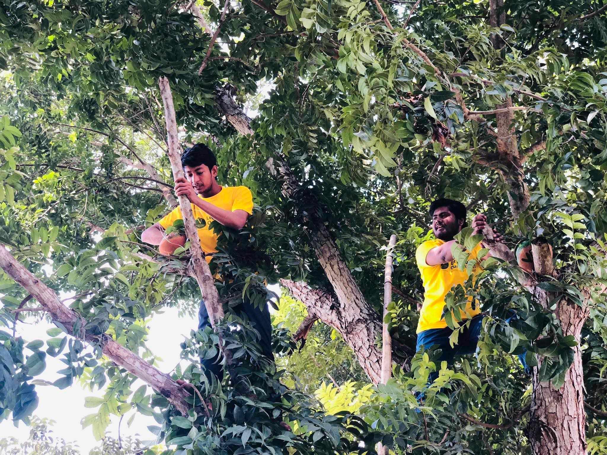 মেহেরপুরে গাছে গাছে পাখিদের জন্য মাটির হাঁড়ি