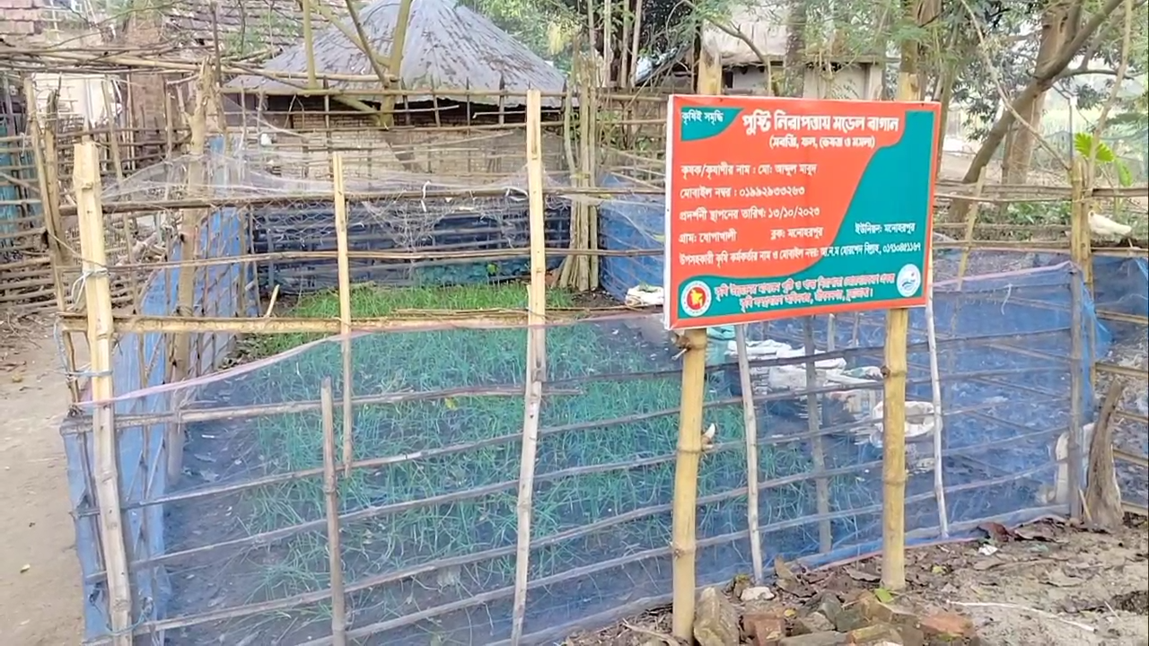জীবননগরের ধোপাখালী এখন পুষ্টিগ্রাম