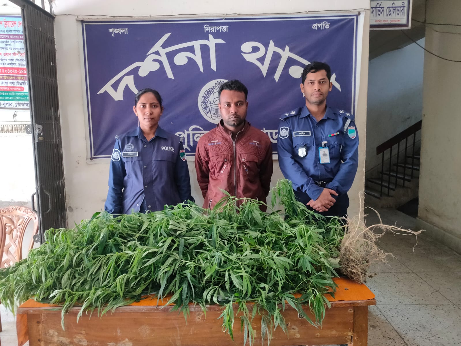 ইয়াবা, গাঁজাগাছসহ চার মাদক ব্যবসায়ী আটক