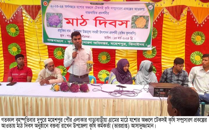 মহেশপুরে রঙিন ফুলকপি চাষের মাঠ দিবস অনুষ্ঠিত