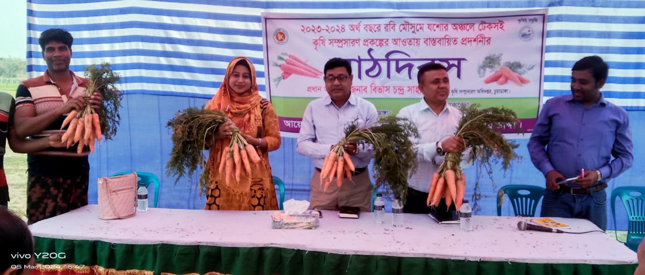দামুড়হুদার বুইচিতলায় মাঠ দিবস অনুষ্ঠিত