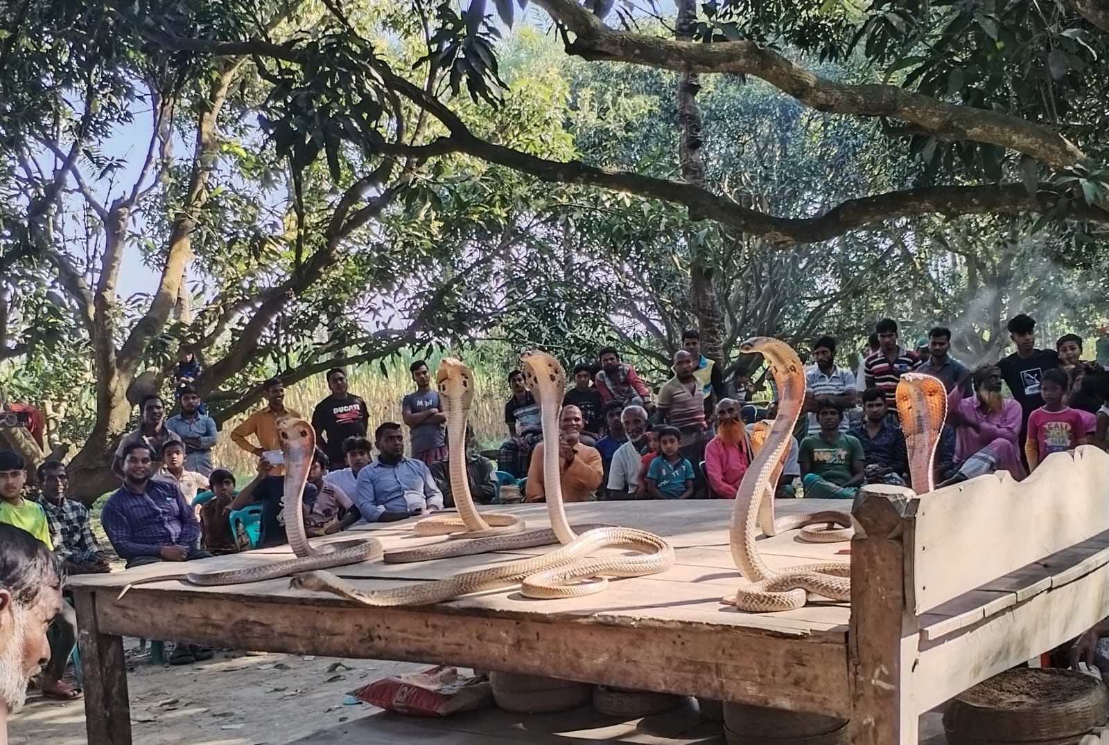 দামুড়হুদায় ঐতিহ্যবাহী ঝাঁপান খেলা অনুষ্ঠিত