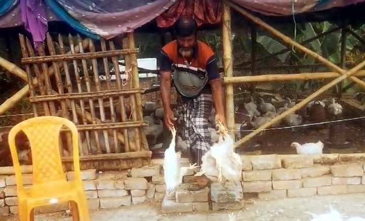 গাংনীতে ক্ষুদ্র খামারি পরিবারের ঈদ আনন্দ ম্লান