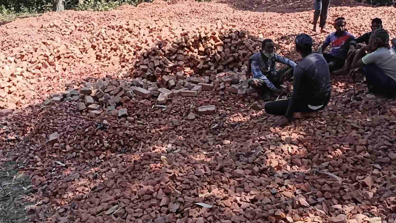 আলমডাঙ্গার ফরিদপুরে রাস্তা নির্মাণে নিম্নমানে ইট ব্যবহারের অভিযোগ