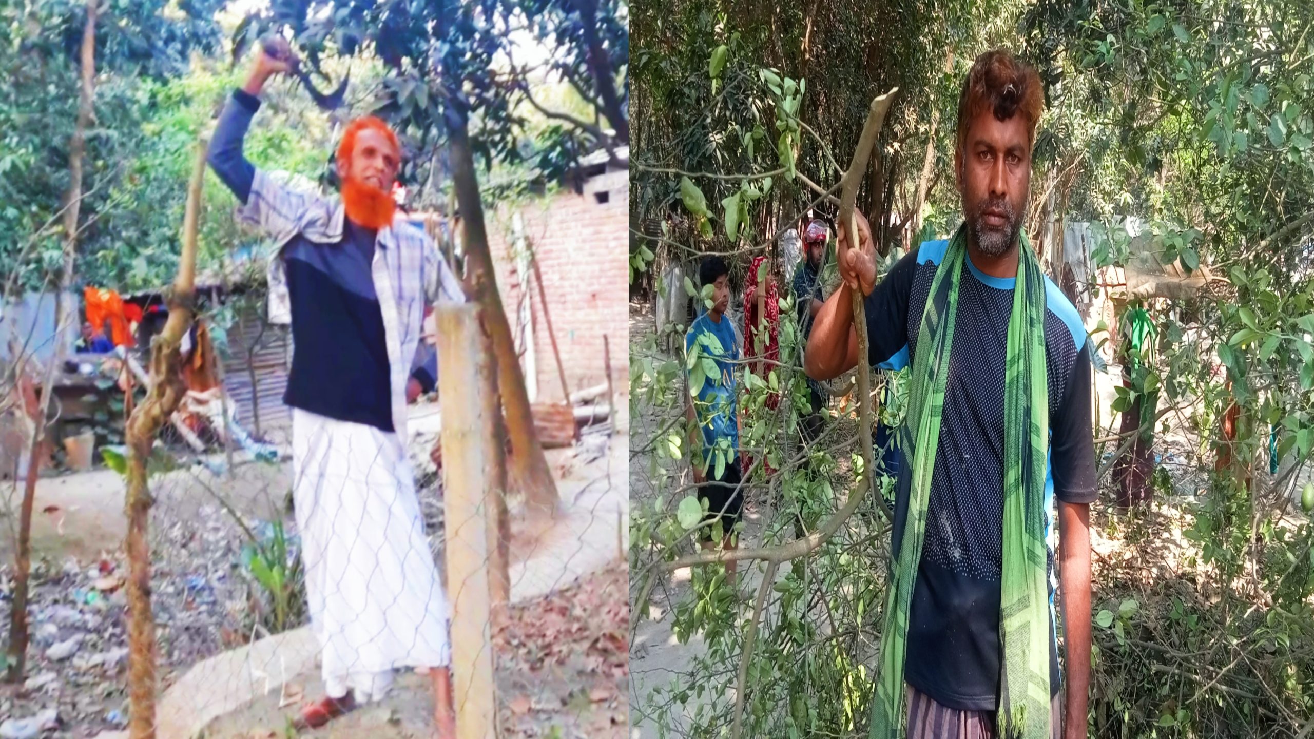 গাংনীতে গাছ কেটে জমি দখলের পাঁয়তারার অভিযোগ