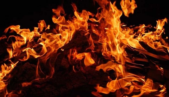 দর্শনা রামনগরে আগুণে পুড়ে তিন ছাগলের মৃত্যু