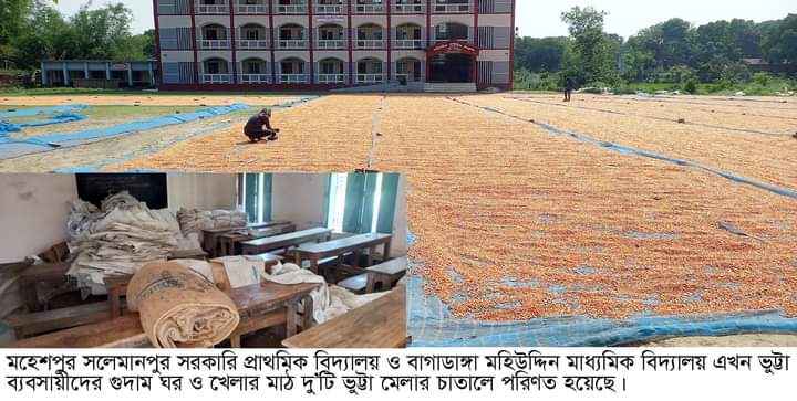 স্কুলের শ্রেণিকক্ষ এখণ ভুট্টার গুদাম!