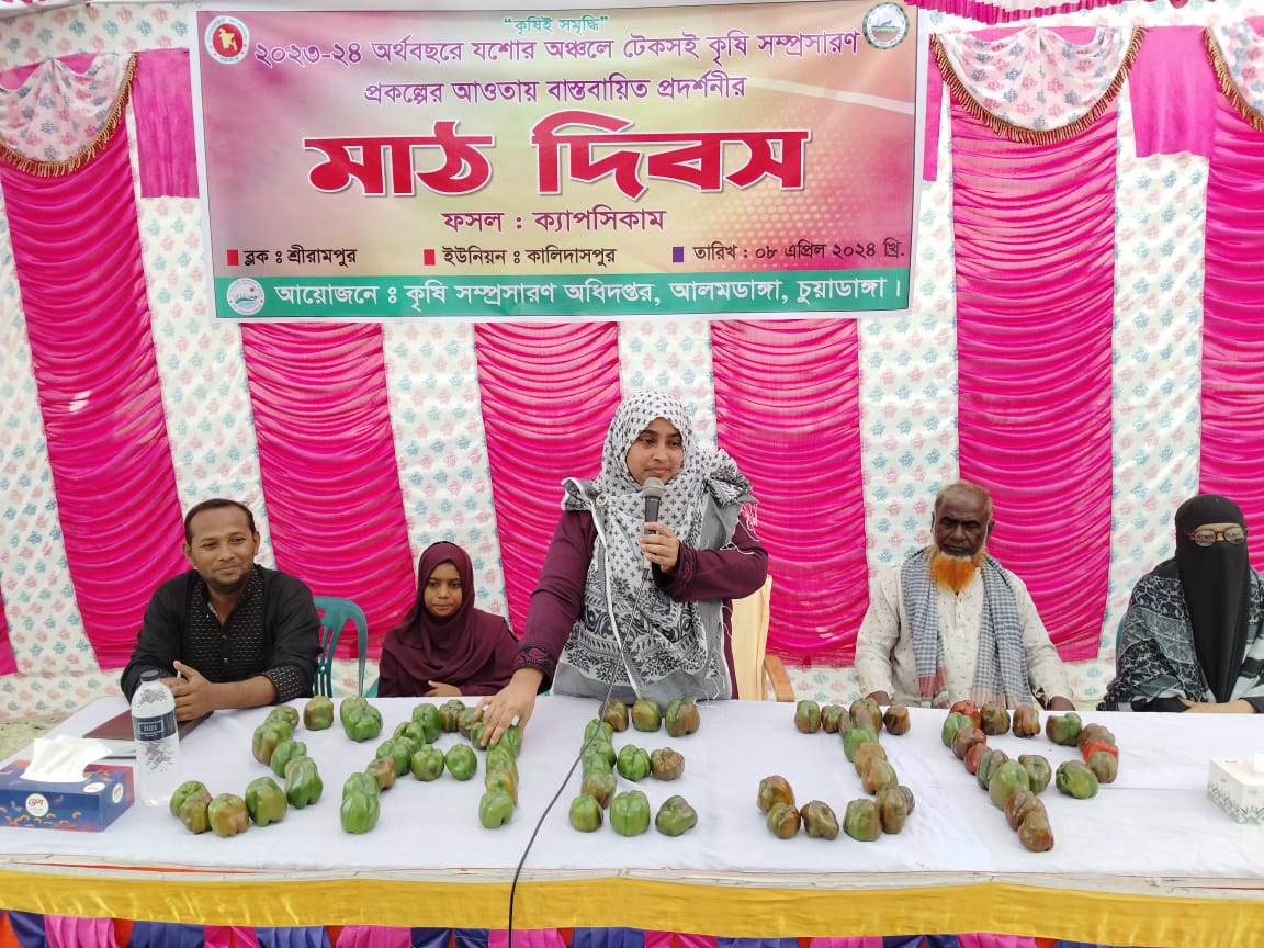 আলমডাঙ্গায় কৃষি বিভাগের মাঠ দিবস অনুষ্ঠিত