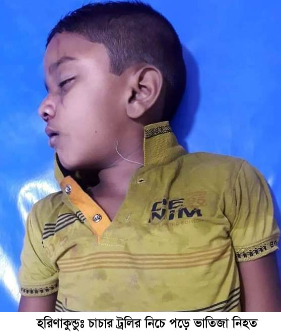 হরিণাকুণ্ডুতে চাচার ট্রলির নিচে পড়ে ভাতিজা নিহত