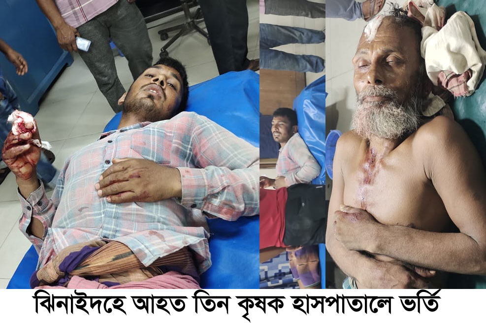 ঝিনাইদহে তিন কৃষককে কুপিয়ে যখম