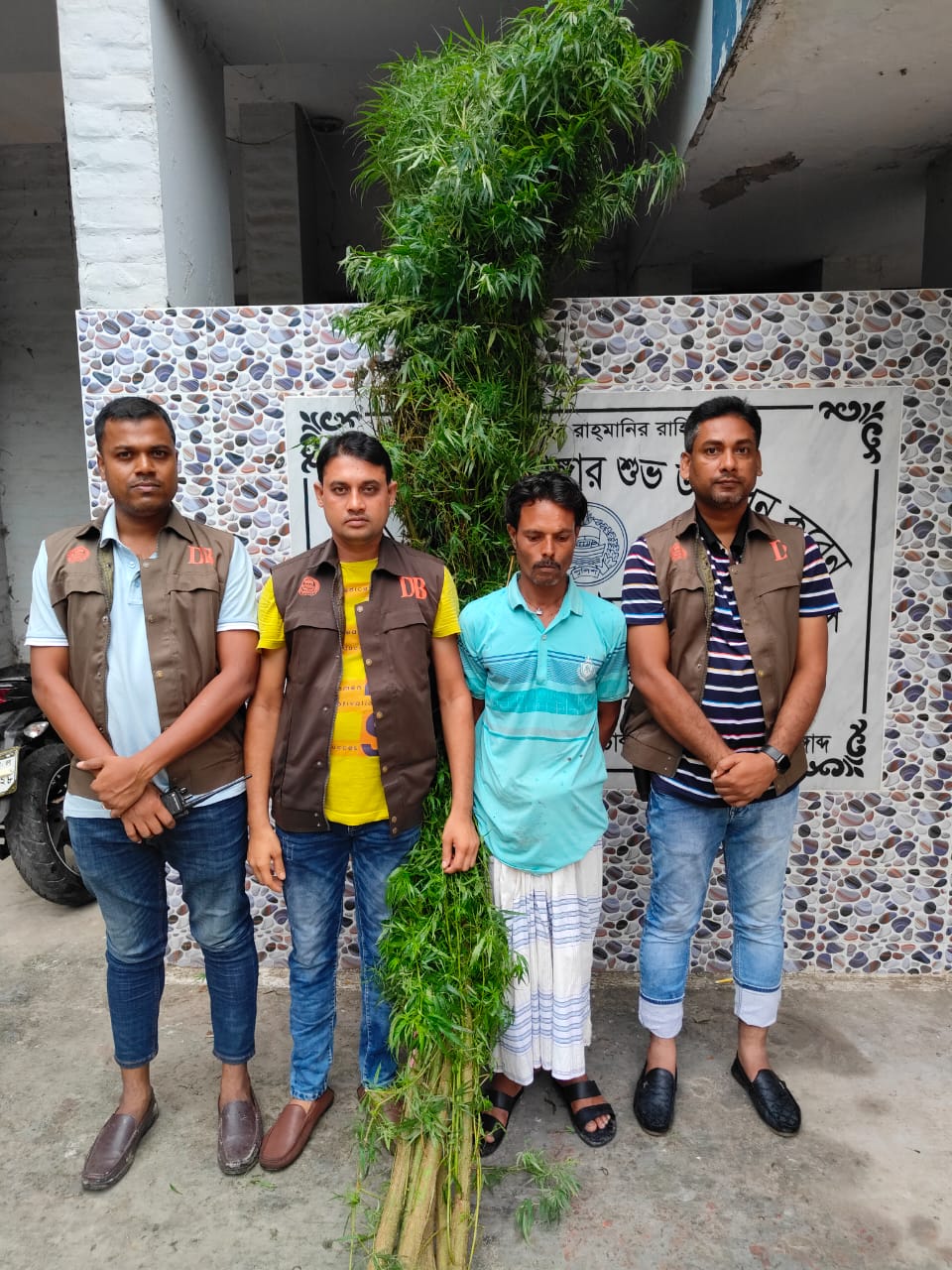 দামুড়হুদায় ৫টি গাঁজা গাছসহ এক ব্যক্তি আটক