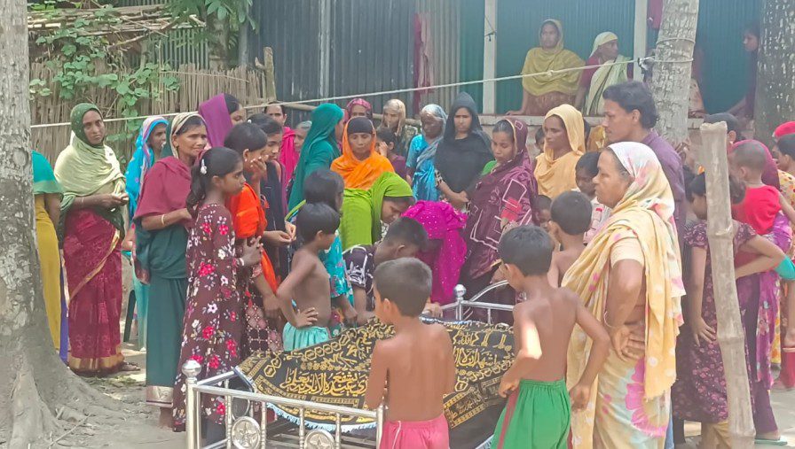 দর্শনার বড়বলদিয়ায় সাপের কামড়ে শিশুর মৃত্যু