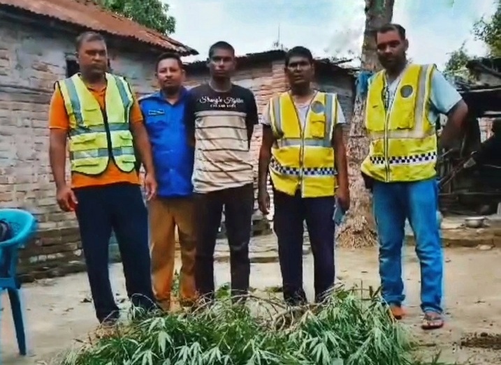 গাংনীতে ৩৩টি গাঁজার গাছ ও গাঁজাসহ যুবক আটক