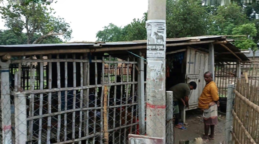 গাংনীতে এক রাতে দুই দোকান ও বসতবাড়িতে চোরের হানা