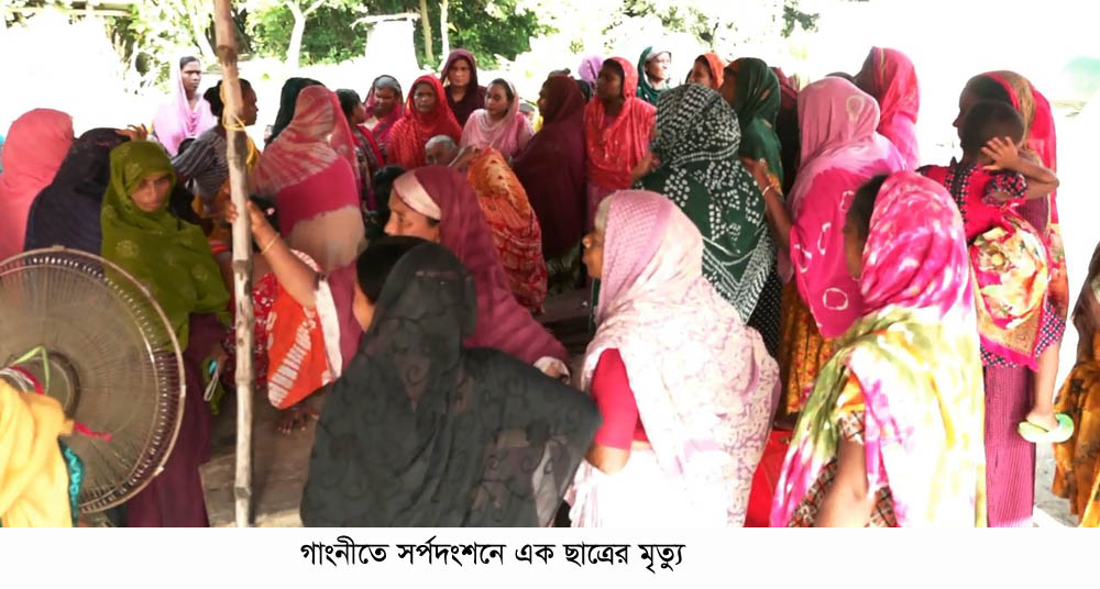 গাংনীতে সাপের কামড়ে স্কুলছাত্রের মৃত্যু