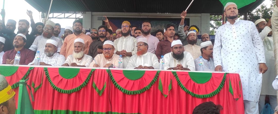 জীবননগরে জামায়াতের আনন্দ মিছিল