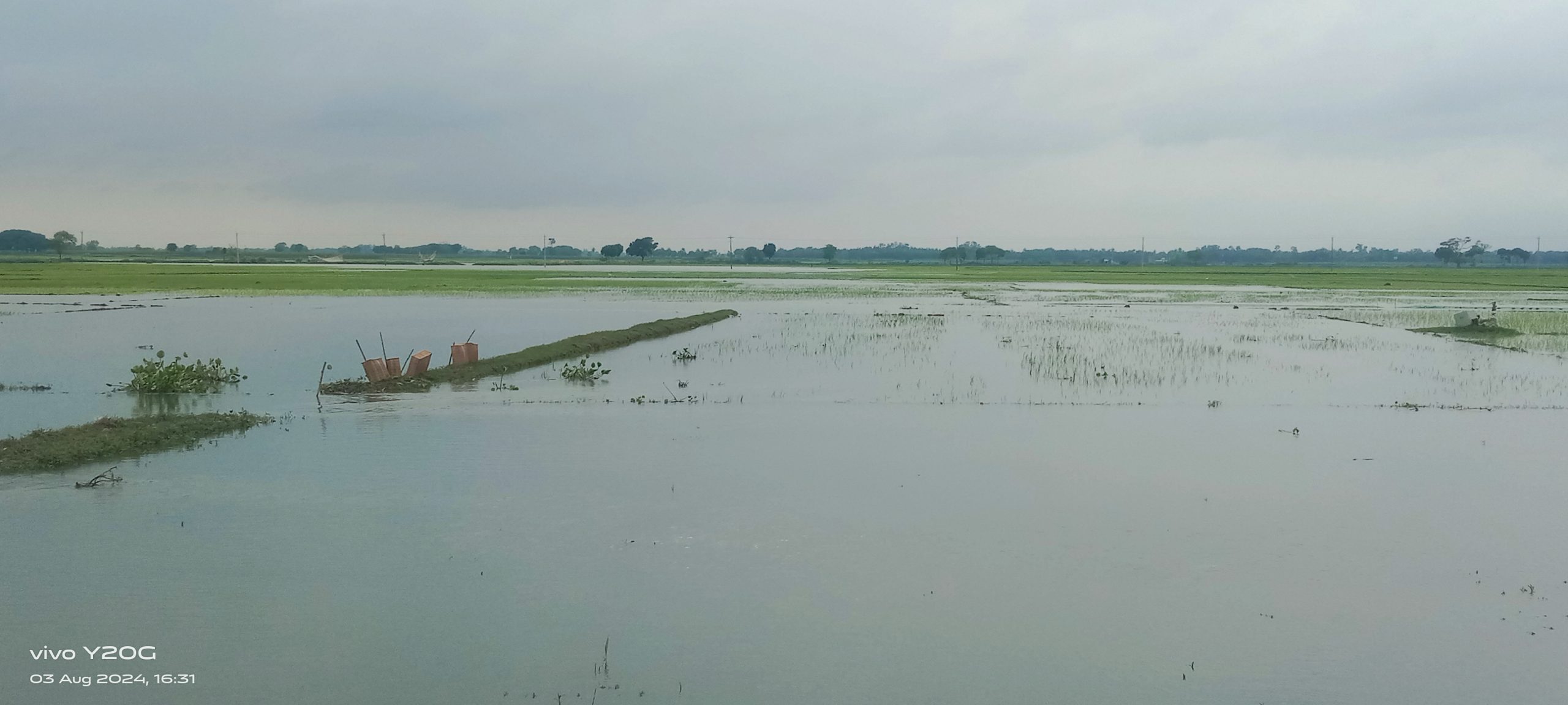 তলিয়ে গেছে ধানখেত, দুশ্চিন্তায় চাষিরা