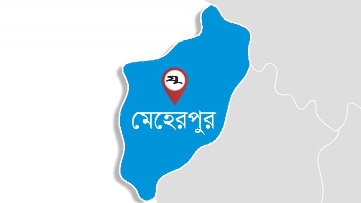 মেহেরপুরে জামিনে মুক্ত হলেন বিএনপির ১৮ নেতা-কর্মী