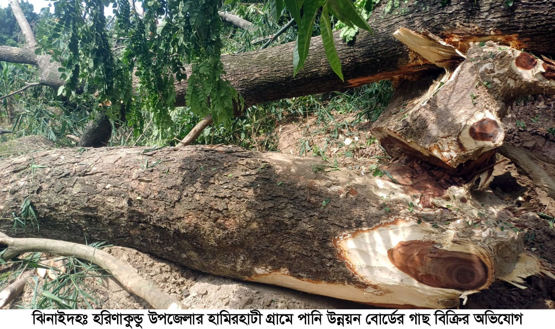 হরিণাকুন্ডুতে পানি উন্নয়ন বোর্ডের ১৪ লাখ টাকার গাছ বিক্রির অভিযোগ