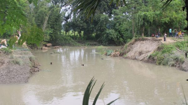 আলমডাঙ্গায় নেমে গেছে প্লাবিত জমির পানি