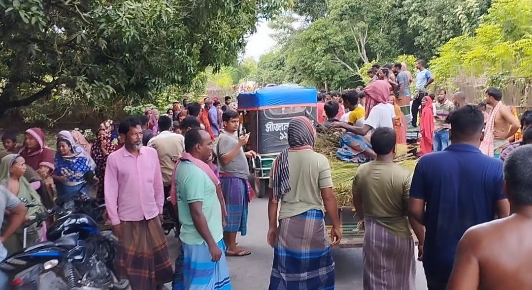 নাটুদহে কুকুর বাঁচাতে গিয়ে আলমসাধু চালক নিহত