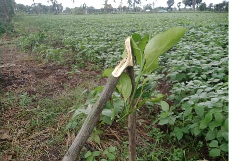 কান্নায় ভেঙে পড়লেন জেলা পরিষদের সদস্য লিটন মোল্লা
