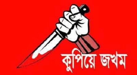 চুয়াডাঙ্গায় পূর্ব বিরোধের জেরে প্রবাসীকে কুপিয়ে জখম