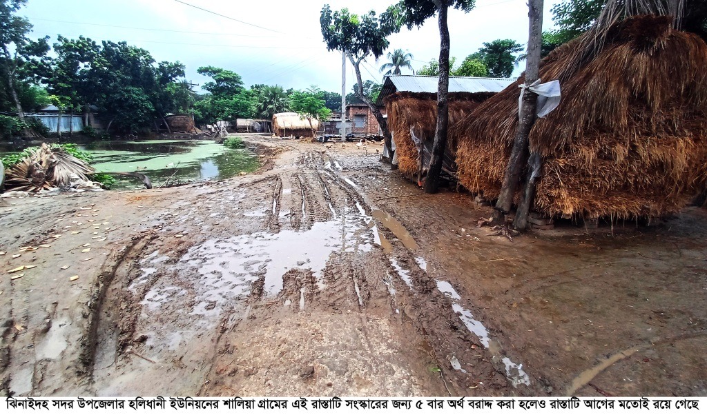 ঝিনাইদহ সদর উপজেলায় কাবিখা টিআর ও কাবিটা কর্মসূচির পোস্টমর্টেম