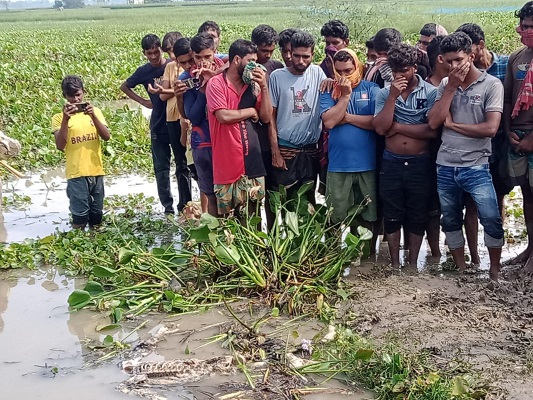 জীবননগরে কচুরিপানার মধ্যে থেকে মানুষের কঙ্কাল উদ্ধার
