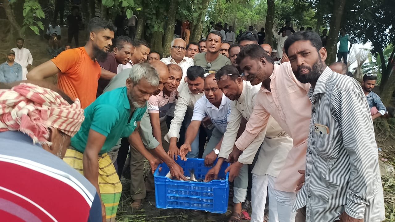 দামুড়হুদার হোগলডাঙ্গা মরাগাং জলকারে মাছের পোনা অবমুক্ত