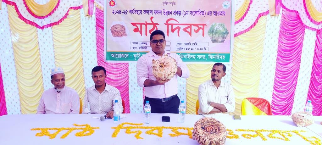 ঝিনাইদহে কন্দাল ফসল উন্নয়নে মাঠ দিবস