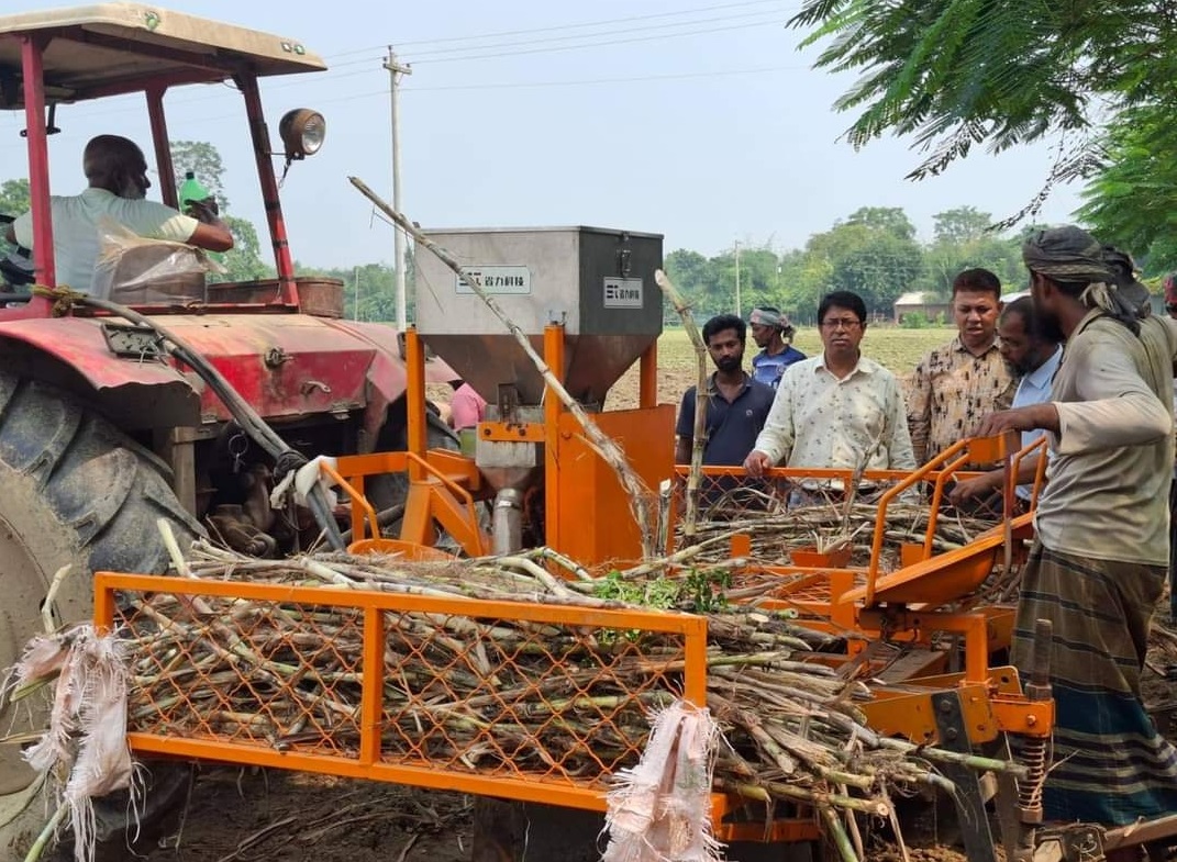 কেরুজ ডিহি ও আড়িয়া খামারে সুগারক‍্যান প্লান্টার মেশিনে আখ রোপণ উদ্বোধন