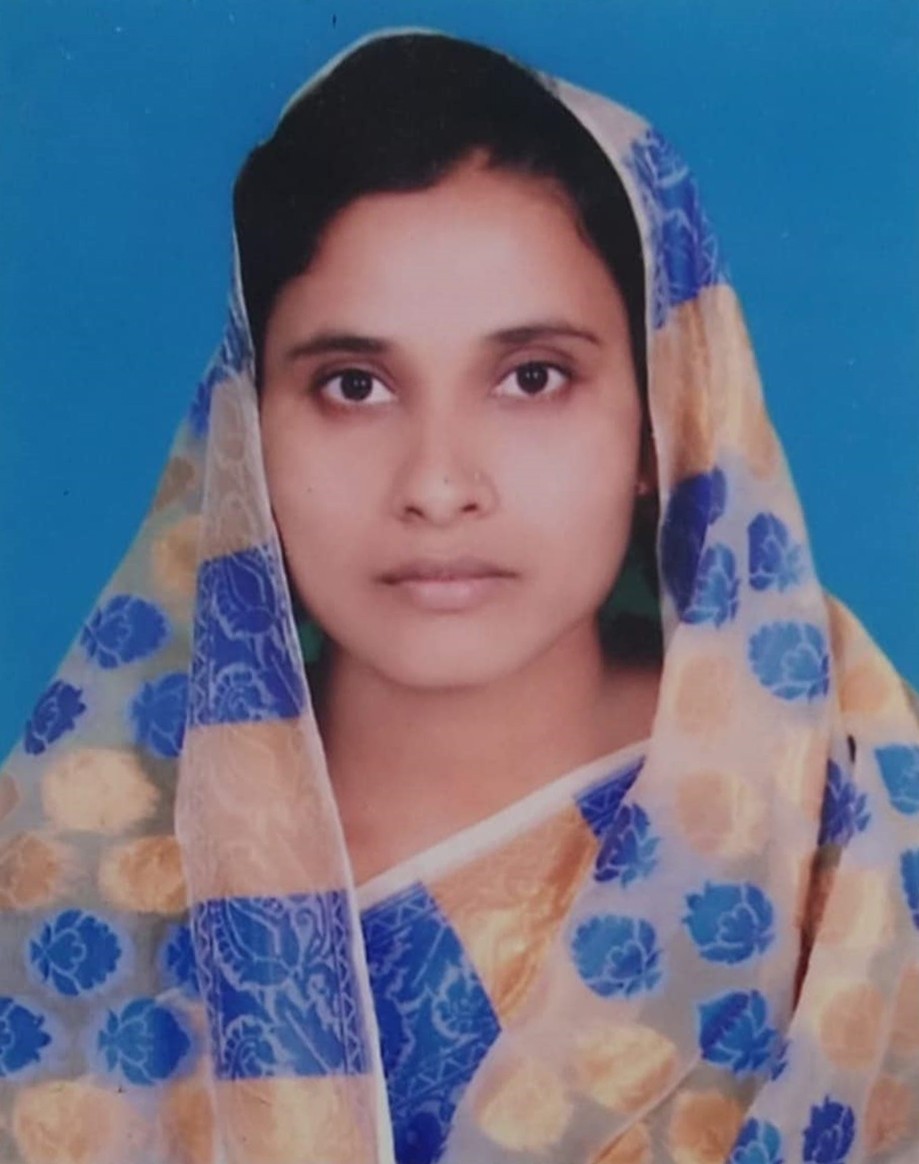 পরিবর্তন হলো বড়শলুয়া নিউ মডেল ডিগ্রি কলেজের অ্যাডহক কমিটি