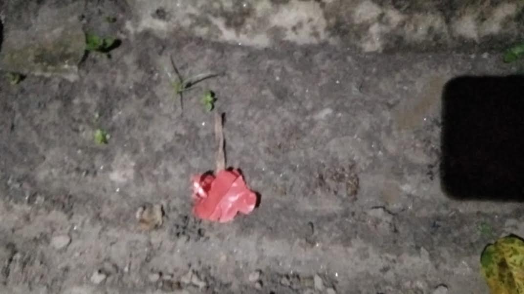 দর্শনায় বিএনপি নেতাদের বাড়ি পাশে ককটেল বিস্ফোরণ