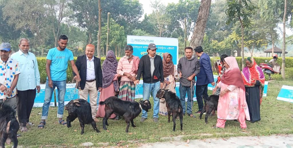 দামুড়হুদায় বিনা মূল্যে খামারীদের মাঝে পাঠা বিতরণ