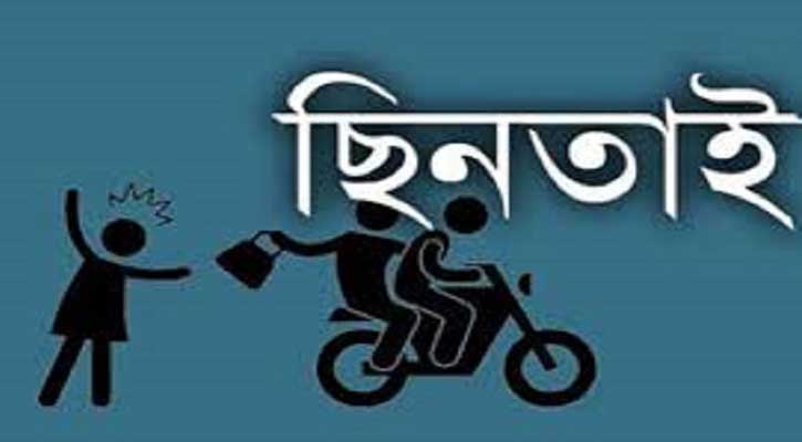 দর্শনার ধাপড়ী মাঠে ছিনতাইকারীদের হানা