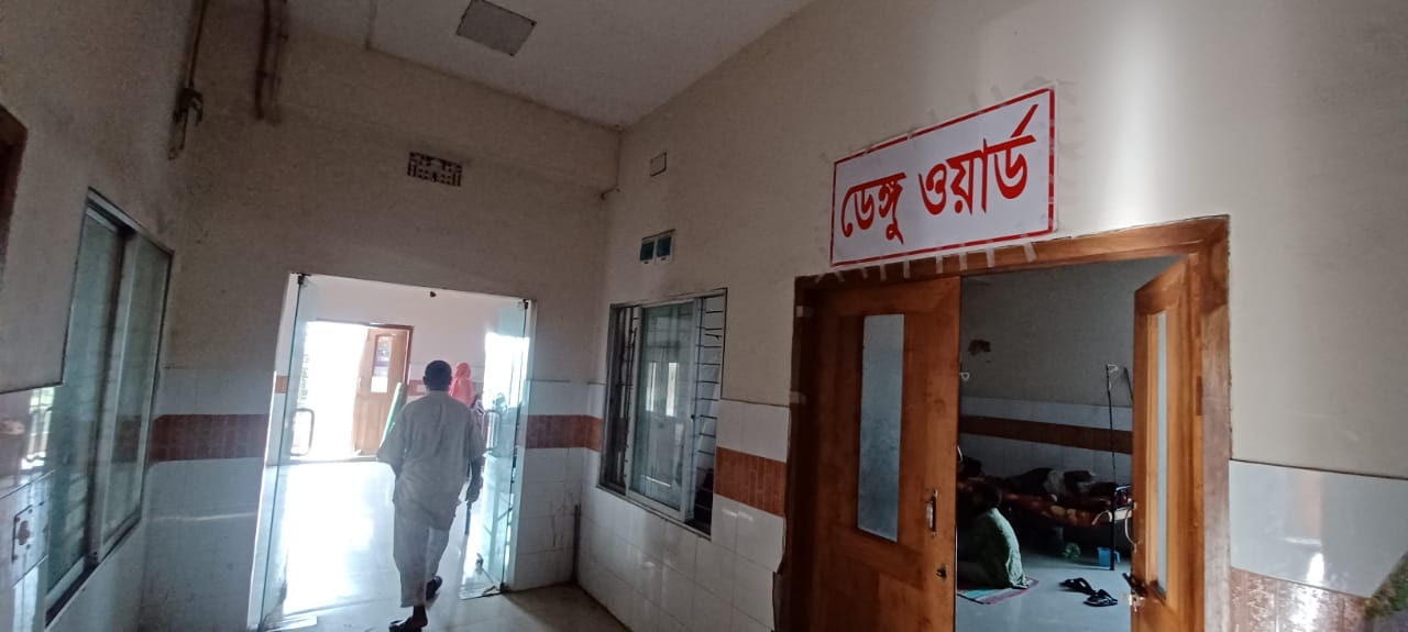 ডেঙ্গু জ্বরে আক্রান্ত গৃহবধূর মৃত্যু
