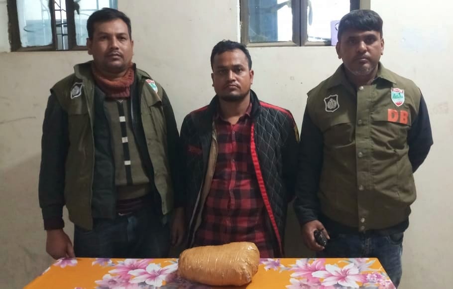 দর্শনায় ডিবির অভিযানে গাঁজাসহ আটক ১