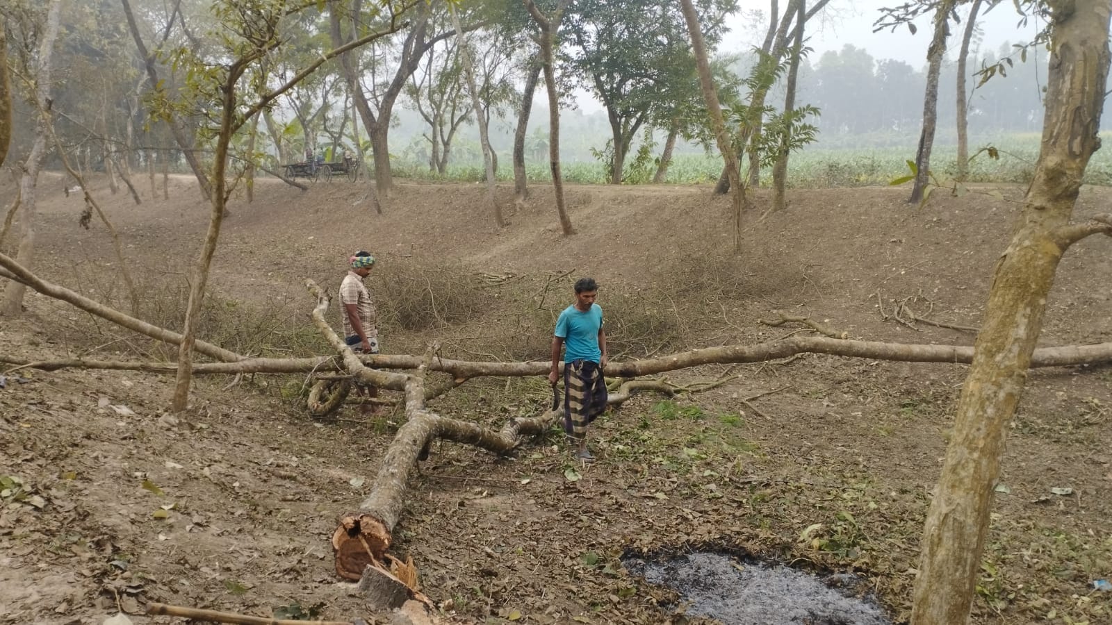 চুয়াডাঙ্গায় সরকারি গাছ কাটার অভিযোগে দুই শ্রমিককে জরিমানা