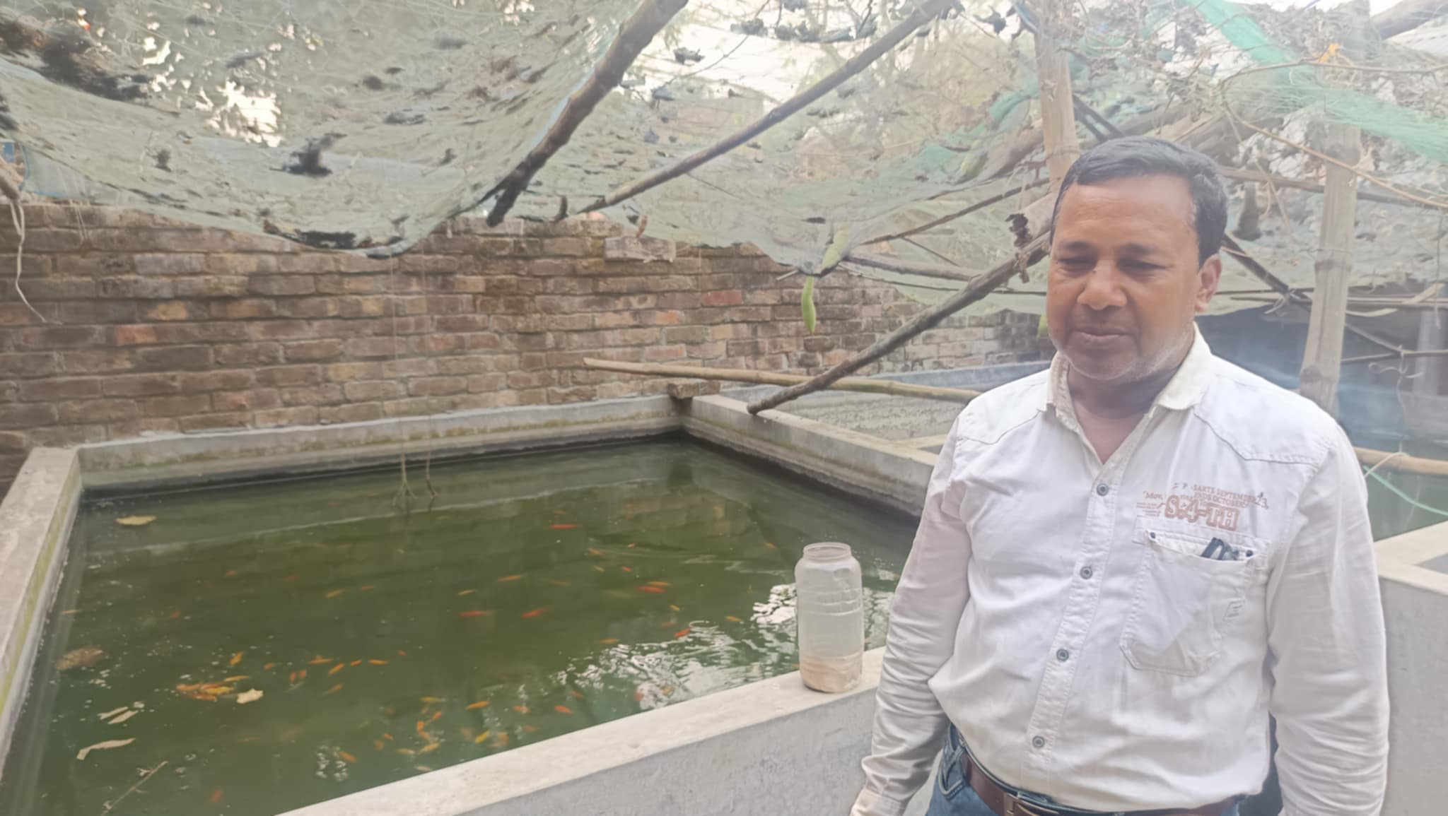 ইউটিউব দেখে রঙিন মাছ চাষে সফল স্কুলশিক্ষক